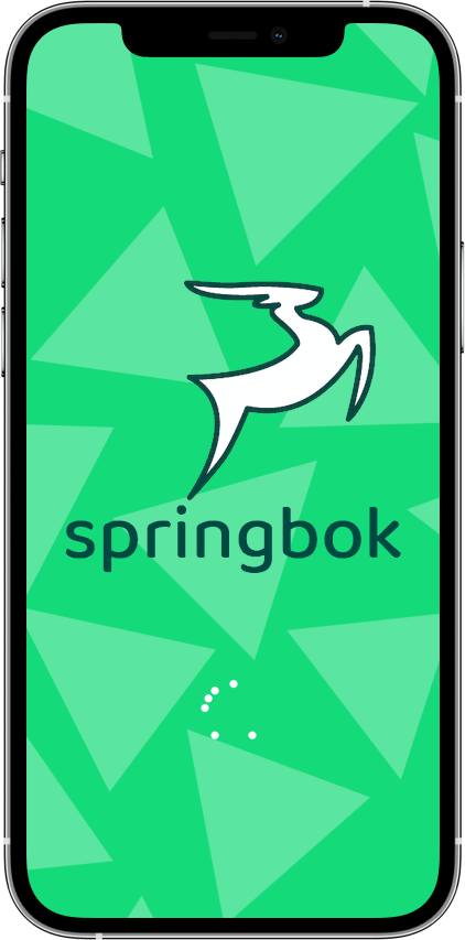 Springbok marketplace Artur Netsvetaev UI Designer & Product Manager: websites, apps, prototypes and interface design iPhone 12 Pro 1 1